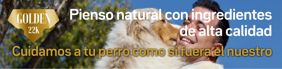 banner pienso natural golden 22k